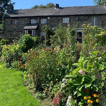 Pant-Y-Creolen Lejlighed Llanfyllin Eksteriør billede